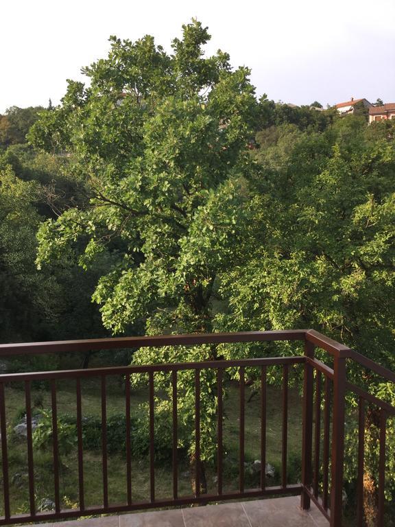 Apartment Filipovic Buzdohanj